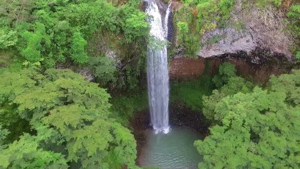 Rain Forest Waterfall Landscape