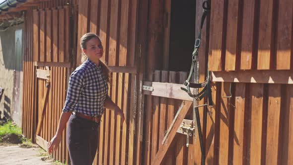 Horse Owner Picking Hays From The Ground And Putting Them Inside The Horse Stall alt