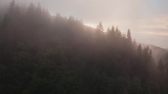 Mystical Mountain Landscape alt