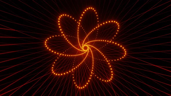 Abstract 3d Animation Like a Flower with Petals From Points Rotates on Black Background with Lines
