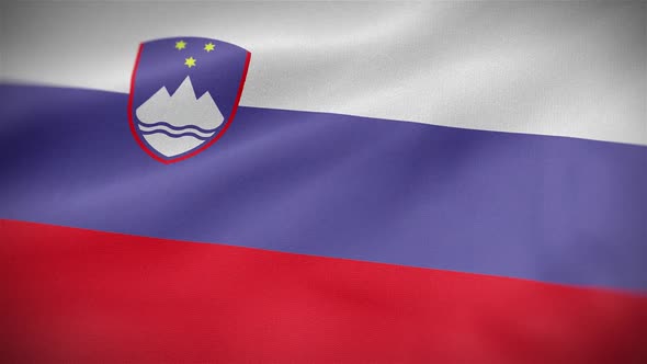Slovenia Flag alt