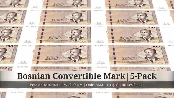 Bosnian Convertible Mark | Bosnia and Herzegovina Currency - 5 Pack | 4K Resolution | Looped alt