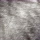 Rotating Fur Coat Fabrics 2 - VideoHive Item for Sale