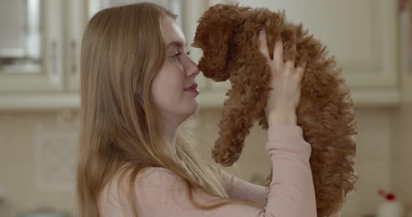 Young beautiful girl raises a poodle puppy in front of her. Smiles sweetly.