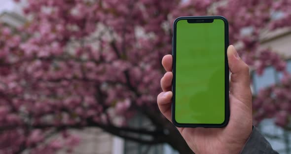 Close Up View of Male Hand Holding Green Screen Smartphone. Concept of Chroma Key, Mock Up and alt