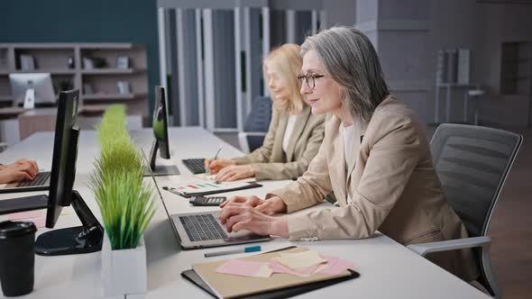 Positive Grey Haired Mature Woman Manager Typing on Laptop Working at Office with Colleagues alt