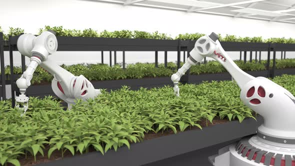 Automated planting process using advanced robot for planting