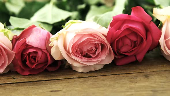 Pink roses arranged on wooden plank alt