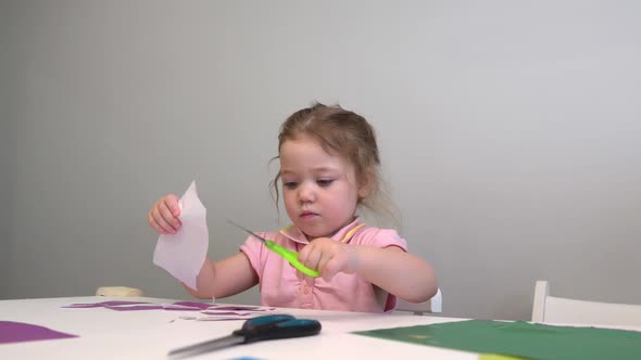 the Child Cuts Colored Paper with Scissors