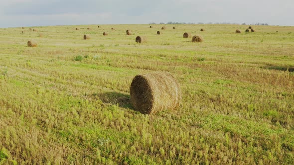 Elevated View Of Summer Hay Rolls Straw Field Landscape In Evening. Haystack, Hay Roll.