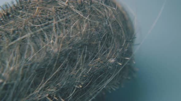 Ellipse Brush Covered with Hair Locks on Grey Background alt