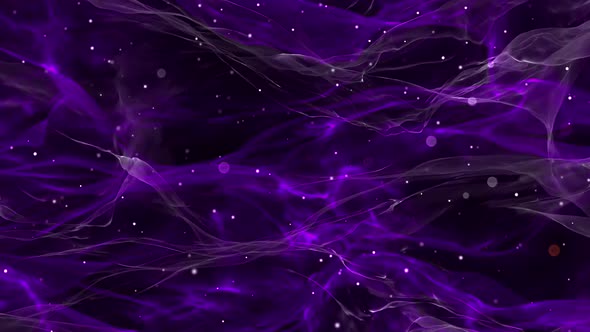 Purple Mystic 01