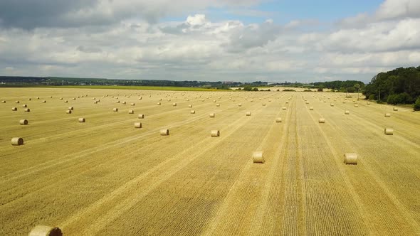 Field With Straw Bale alt