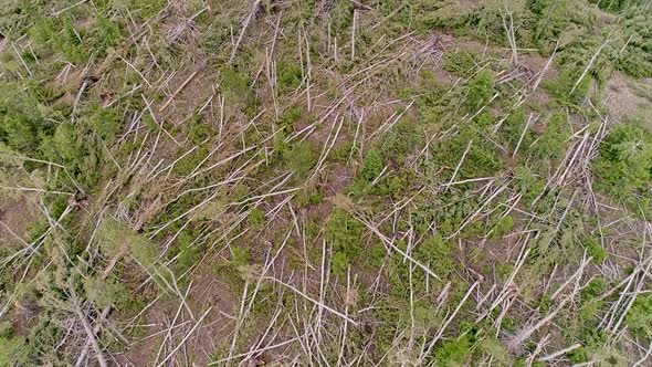 Flying over damage from EF-2 tornado in Utah from storm on June 19, 2022 alt