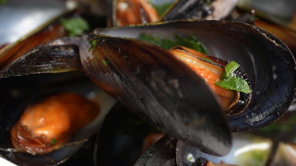 Mussels 33 alt