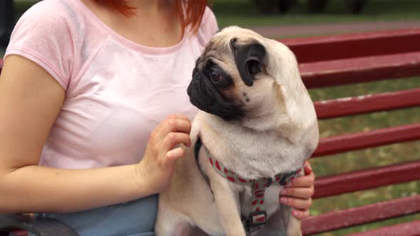 Girl Sitting on a Bench and Stroking Her Pug