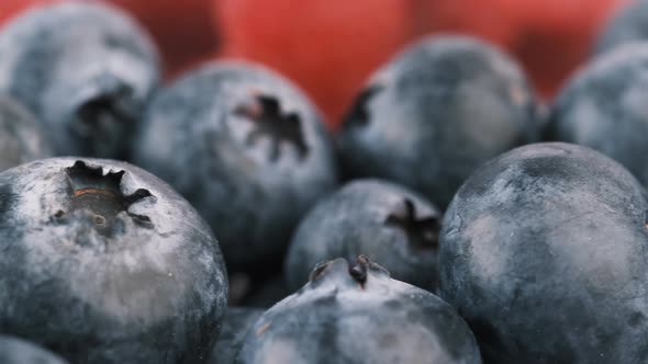 Close Up of Fresh Blue Berry with Water Drops alt