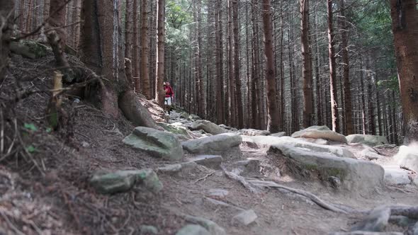 Tourist with a Backpack Goes Down the Stone Mountain Path in the Forest alt