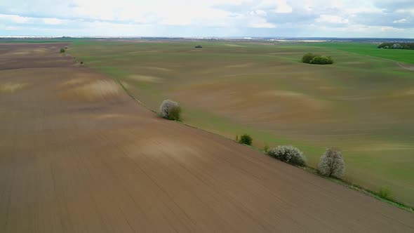 Flight Along the Sown Spring Ukrainian Fields