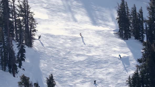 People skiing on snowy slope