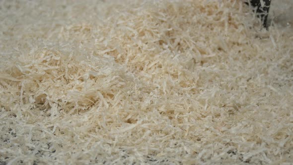 Wood shavings in a carpentry workshop alt