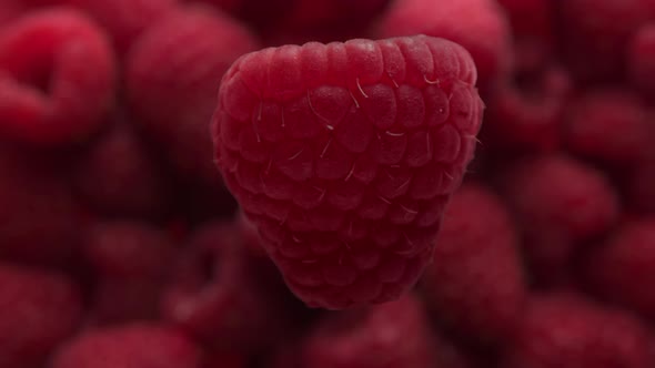 Closeup of Raspberry Rotating and Falling To Raaspberry Background