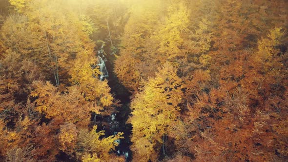 Golden Autumn Forest Creek Scenery Aerial View alt