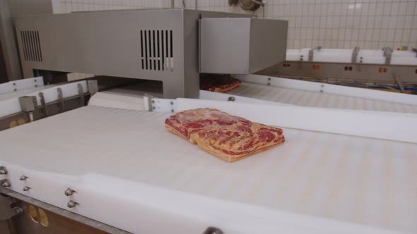 Cooling Conveyor Belt with Large Piece of Bacon Riding on It at Meat Processing Plant