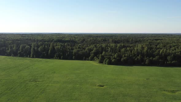 Summer Forest and Field. Wild Nature. Aerial View alt