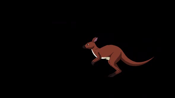 Running australian kangaroo alpha matte animation