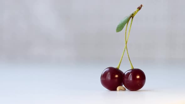 Little Worm and Cherry. alt