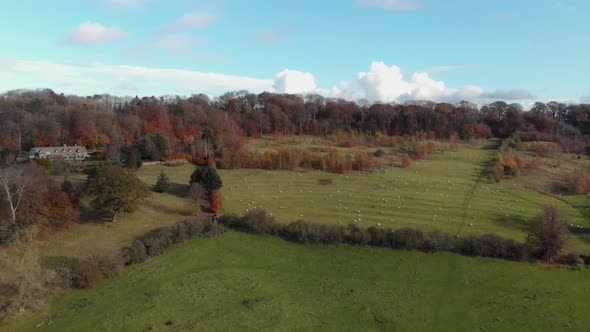 Beautiful Autumn Pasterland And Woodland English Landscape Cotswolds Aerial