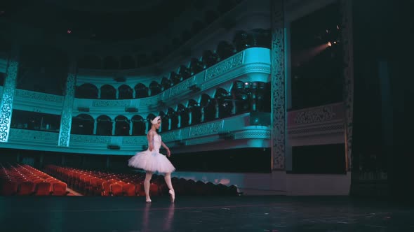Professional ballet dancer. Beautiful ballet. Young ballerina showing her creative art .4k footage