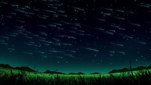 Meadow Night Meteor Shower