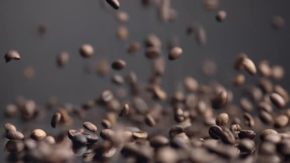 Coffee Seeds Dawnfall Closeup alt