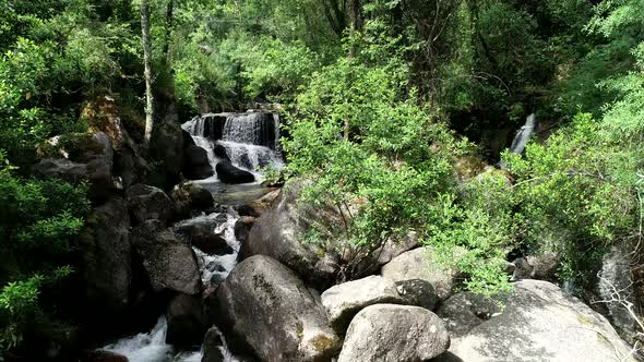 Waterfall surrounded by green nature and trees alt