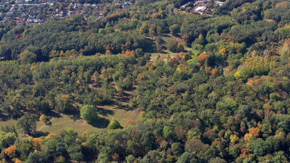 Beautiful flight above the trees. Autumn forest.