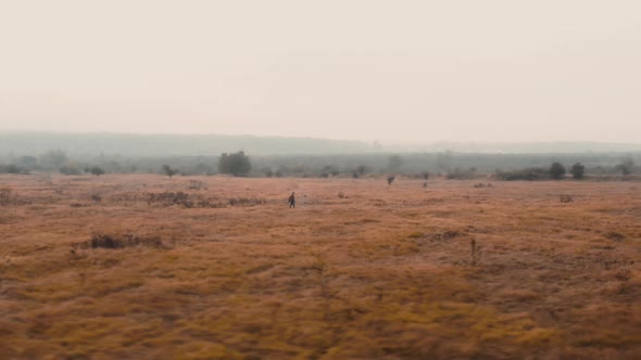 Photographer carrying a camera striding through grassy autumn field. alt