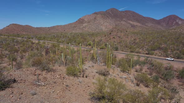 Typical Mexican Landscape with Desert Mountains and Cactuses with Road