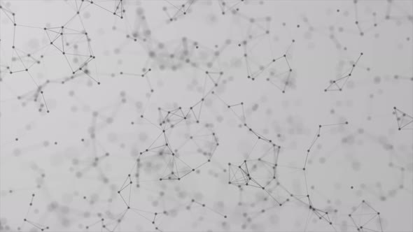 Plexus Bg White Black