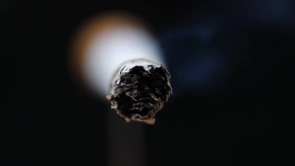 cigarette detail macro smoke in cigar alt