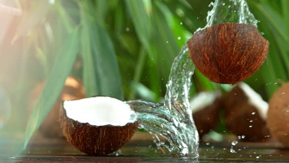Super Slow Motion Shot of Water Splashing From Coconut at alt
