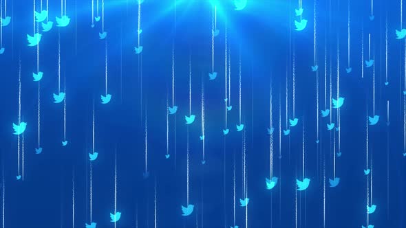 Falling Twitter Icon Background alt