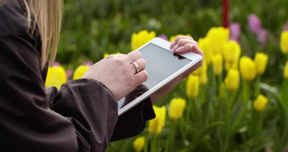 Agriculture Technology Farmer Using Tablet at Flower Plantation alt