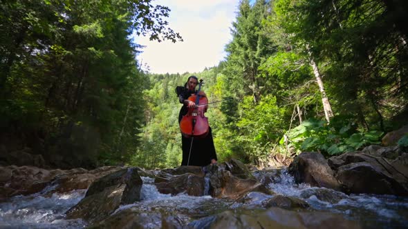 Musician woman plays cello on nature background. Green trees, mountain river and big rocks. alt