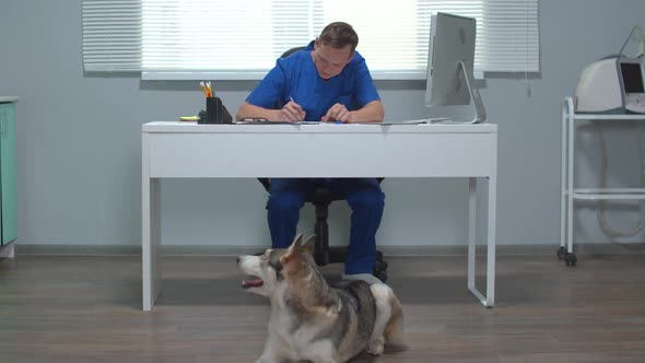 View of Husky Lying on the Floor and Vet Sitting at a Table and Writing alt