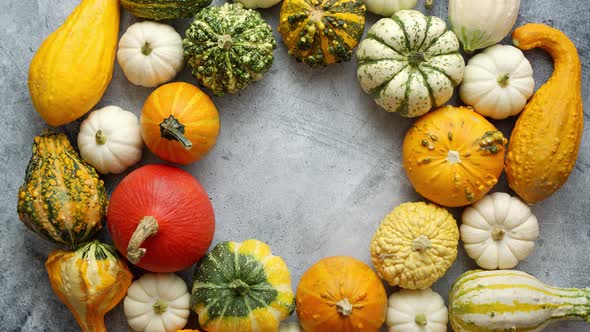 Top View of Various Kinds Cute Mini Pumpkins Placed in Circle with Copy Space