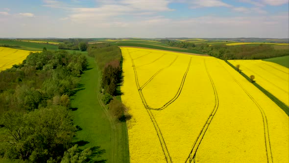 Hills and mountains on horizon behind canola seed fields in Lower Austria, drone flight aerial foota alt