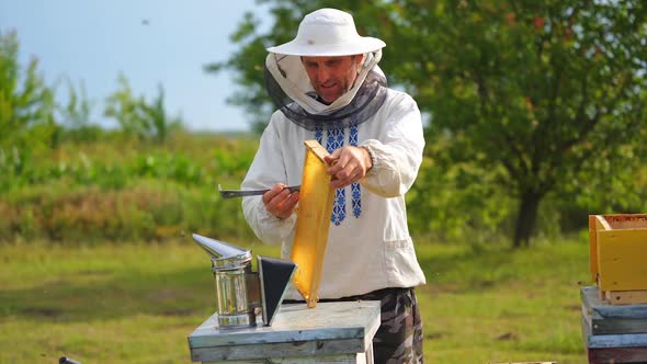 Male beekeeper with hive. The beekeeper examines bees in honeycombs. alt