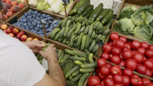 Close-up Hands of Grocery Worker Is Arranging Cucumbers on Store Shelves